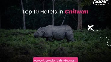 Top 10 Hotels in Chitwan